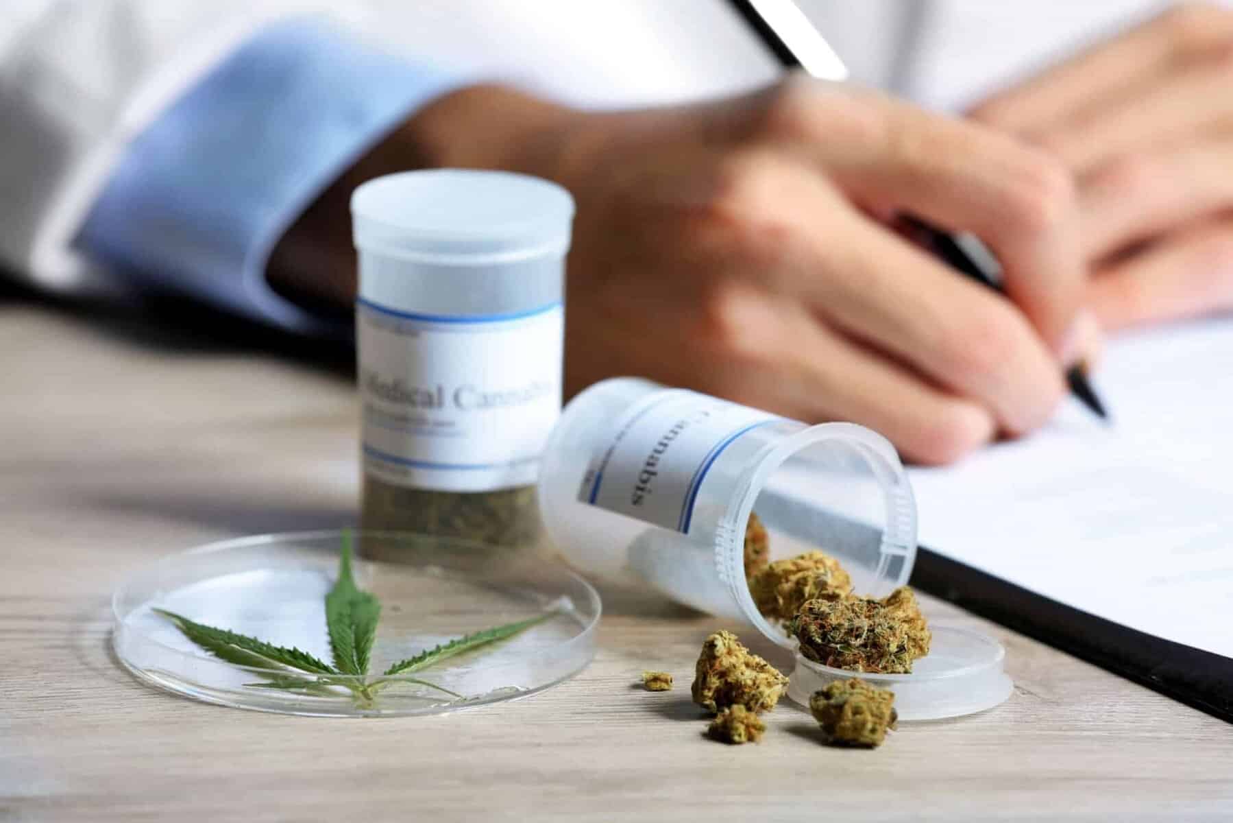 Marijuana for Multiple Myeloma