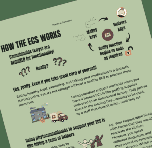 How the ECS works
