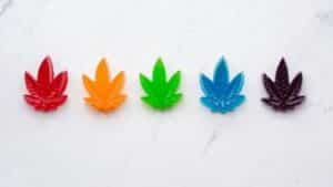 Infused Edible Gummies