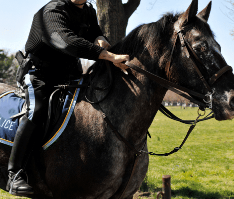 Horse Police